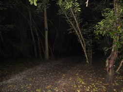 Avon Paranormal Team - Stoke Park Estate